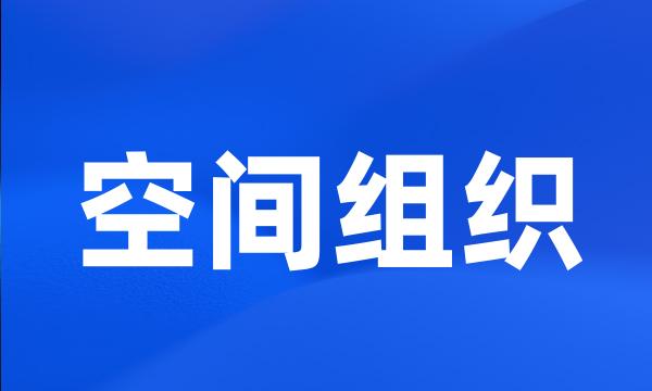 空间组织