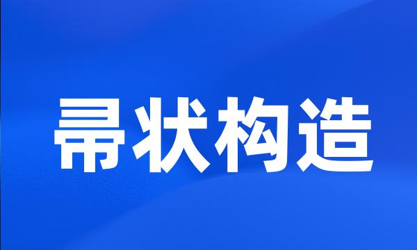 帚状构造