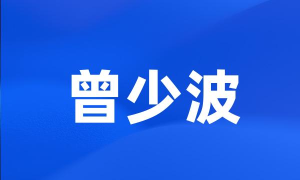 曾少波