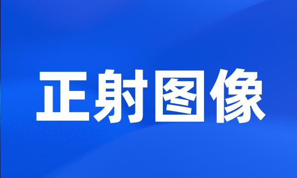 正射图像
