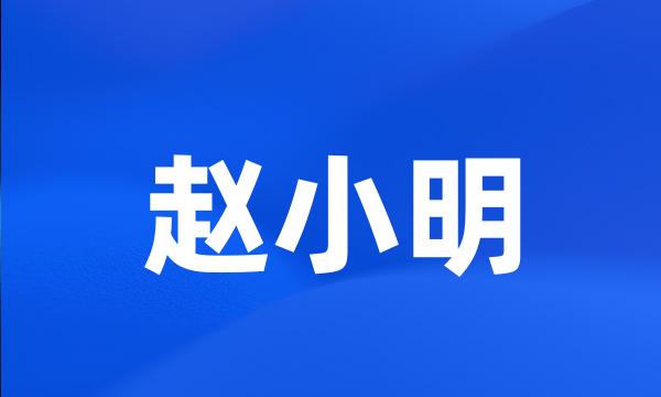 赵小明