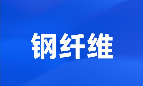 钢纤维