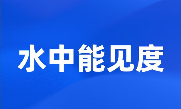 水中能见度