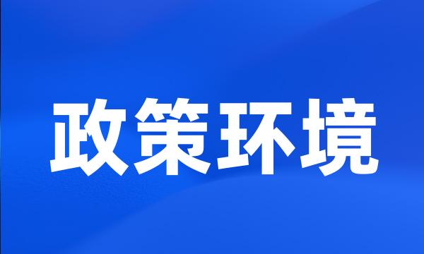 政策环境