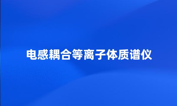 电感耦合等离子体质谱仪