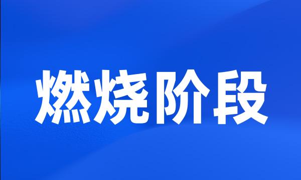 燃烧阶段