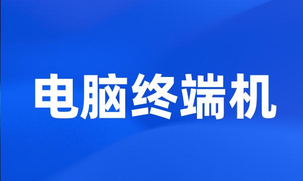 电脑终端机