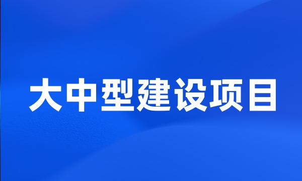 大中型建设项目