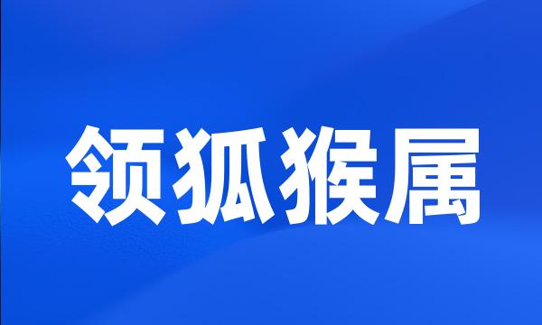 领狐猴属
