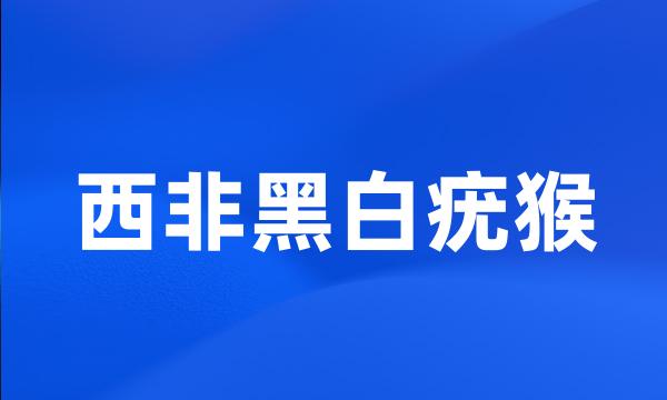 西非黑白疣猴