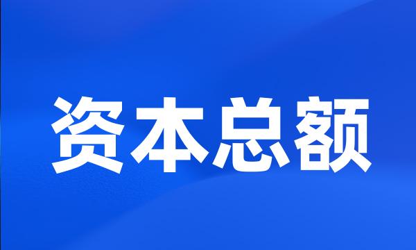 资本总额