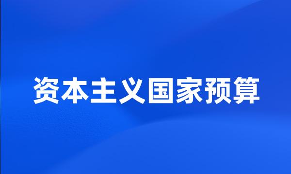 资本主义国家预算