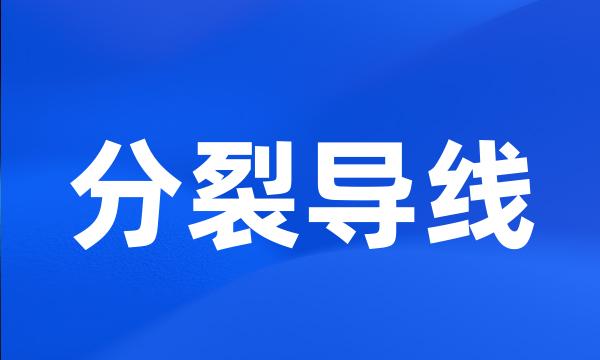 分裂导线