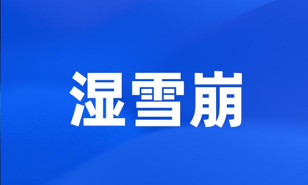 湿雪崩