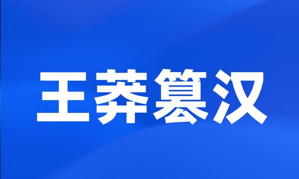 王莽篡汉