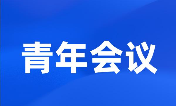 青年会议