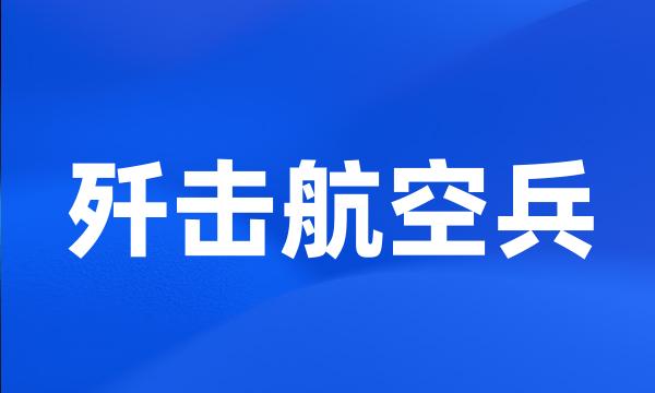 歼击航空兵