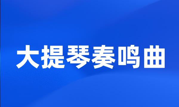 大提琴奏鸣曲