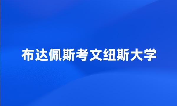 布达佩斯考文纽斯大学