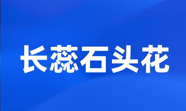 长蕊石头花