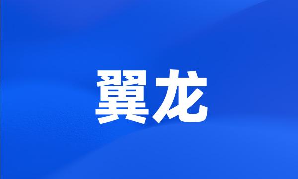 翼龙