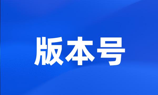 版本号
