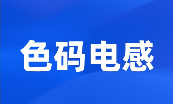 色码电感