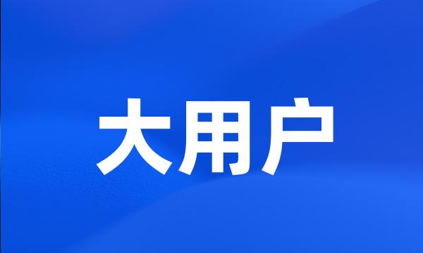 大用户