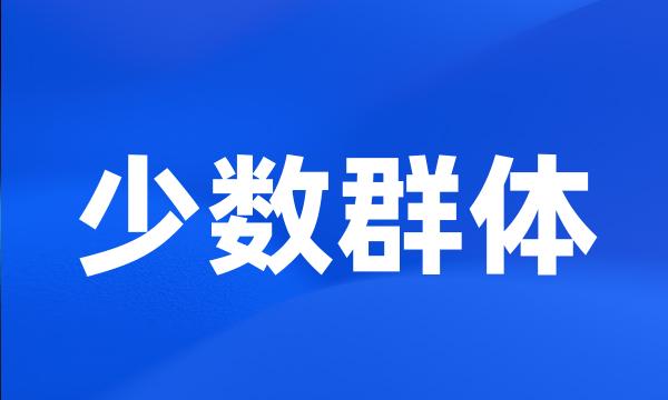 少数群体