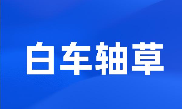 白车轴草