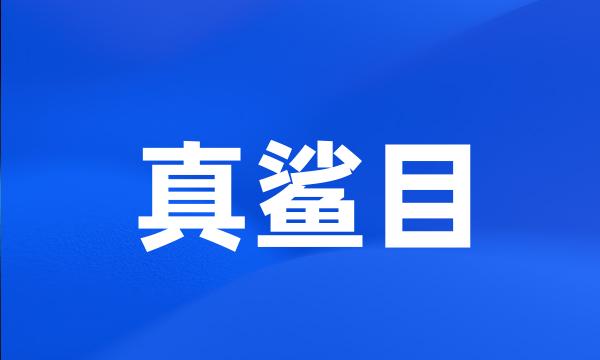 真鲨目