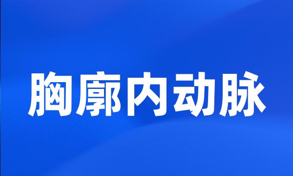 胸廓内动脉