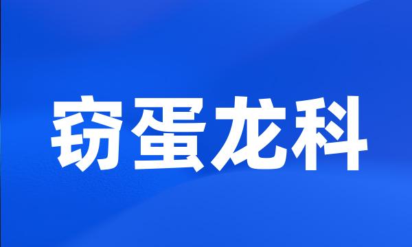 窃蛋龙科