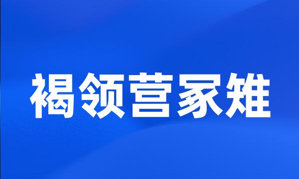 褐领营冢雉