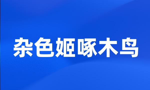 杂色姬啄木鸟