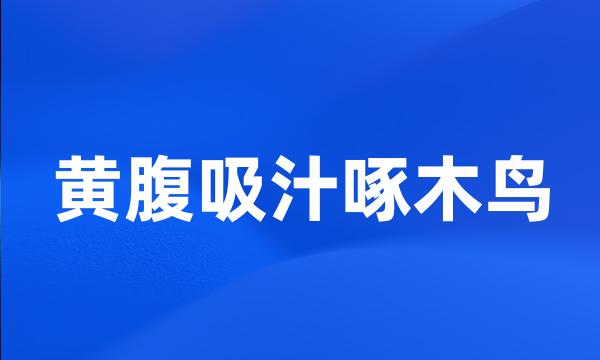 黄腹吸汁啄木鸟