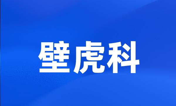 壁虎科