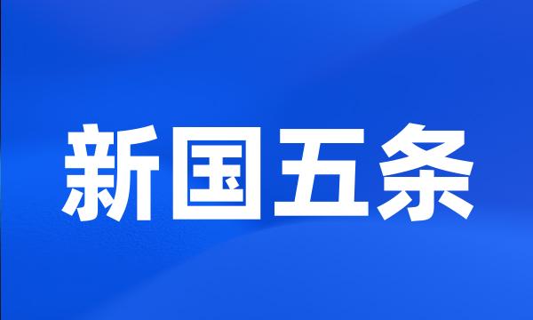 新国五条