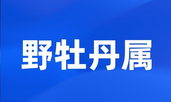 野牡丹属