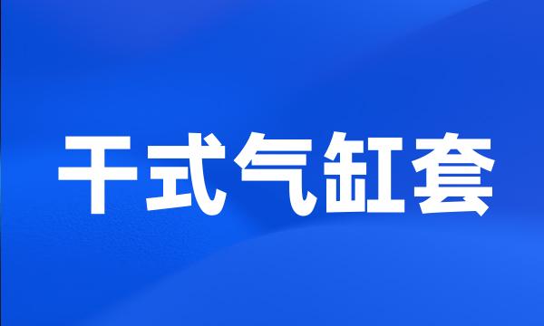 干式气缸套