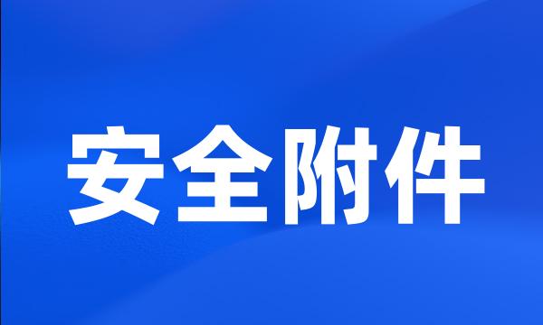 安全附件