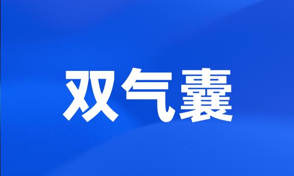 双气囊