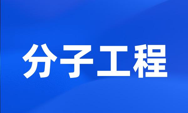 分子工程