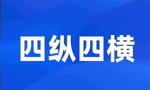 四纵四横