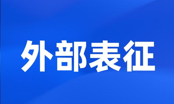 外部表征