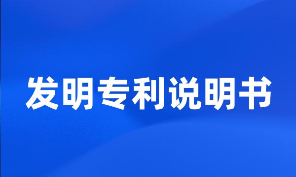 发明专利说明书