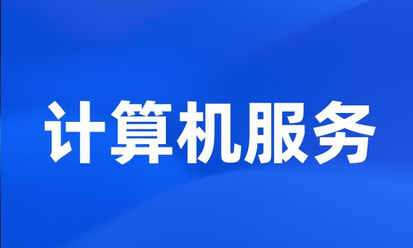 计算机服务