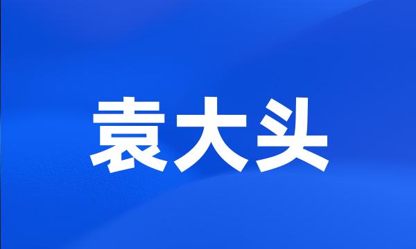袁大头