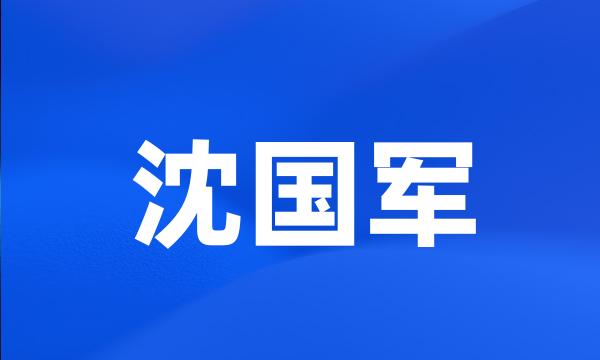 沈国军