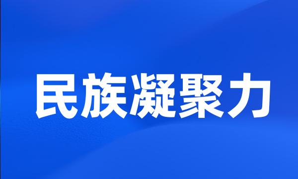 民族凝聚力